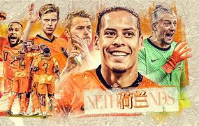 关于荷兰黄狮誓披荆斩棘，争夺胜利之路的信息